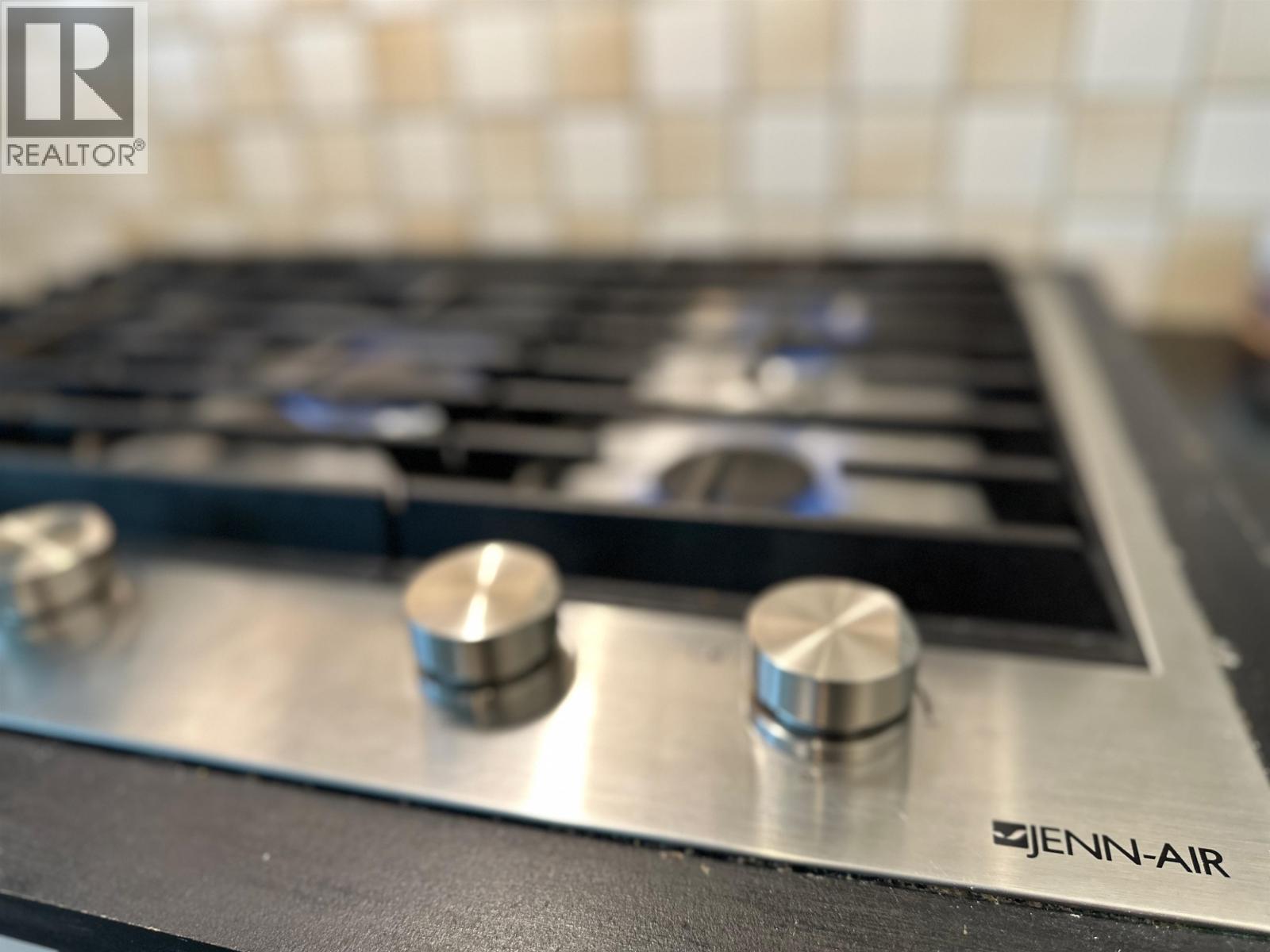 503 55 Alexander Street, Vancouver, British Columbia  V6A 1B2 - Photo 10 - R3098560