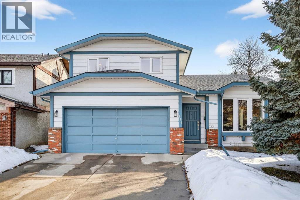 256 Sunmills Place Se, Calgary, Alberta  T2X 2P2 - Photo 2 - A2288975