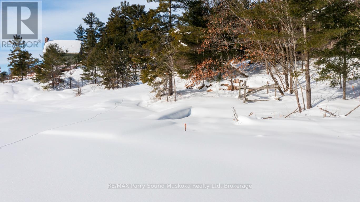 14 Big Sound Road, Mcdougall, Ontario  P0G 1G0 - Photo 44 - X12866864