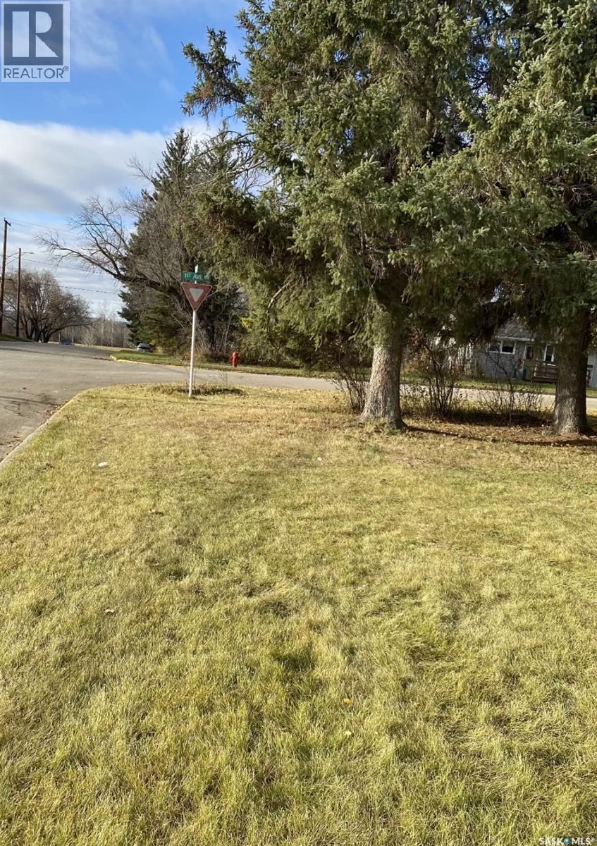 202 1st Avenue Nw, Preeceville, Saskatchewan  S0A 3B0 - Photo 33 - SK030155