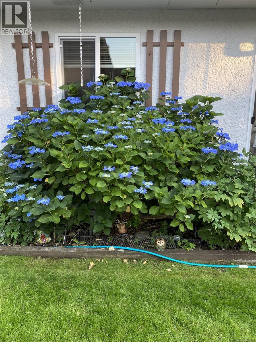 11 9 Buttertubs Dr, Nanaimo, British Columbia  V9R 3X8 - Photo 16 - 1023376