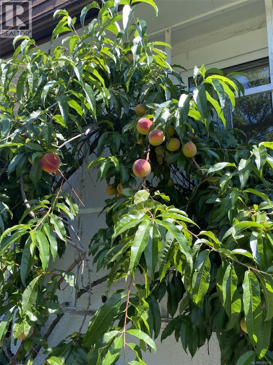 11 9 Buttertubs Dr, Nanaimo, British Columbia  V9R 3X8 - Photo 14 - 1023376