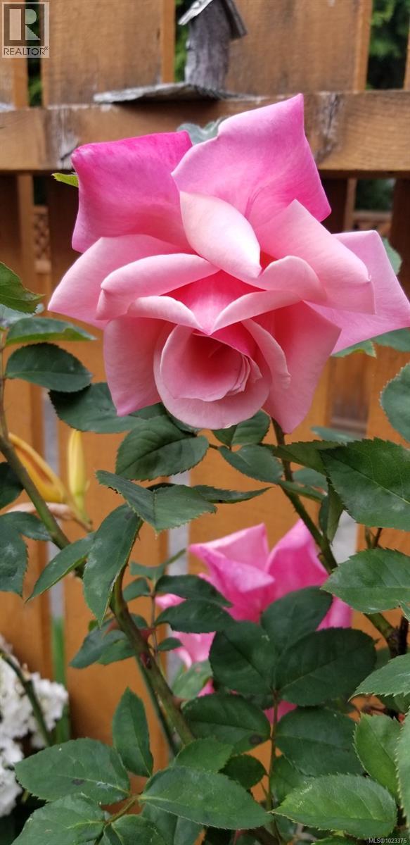 11 9 Buttertubs Dr, Nanaimo, British Columbia  V9R 3X8 - Photo 30 - 1023376