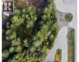 BALFOUR Avenue Lot# LOT 8, Kaslo, British Columbia