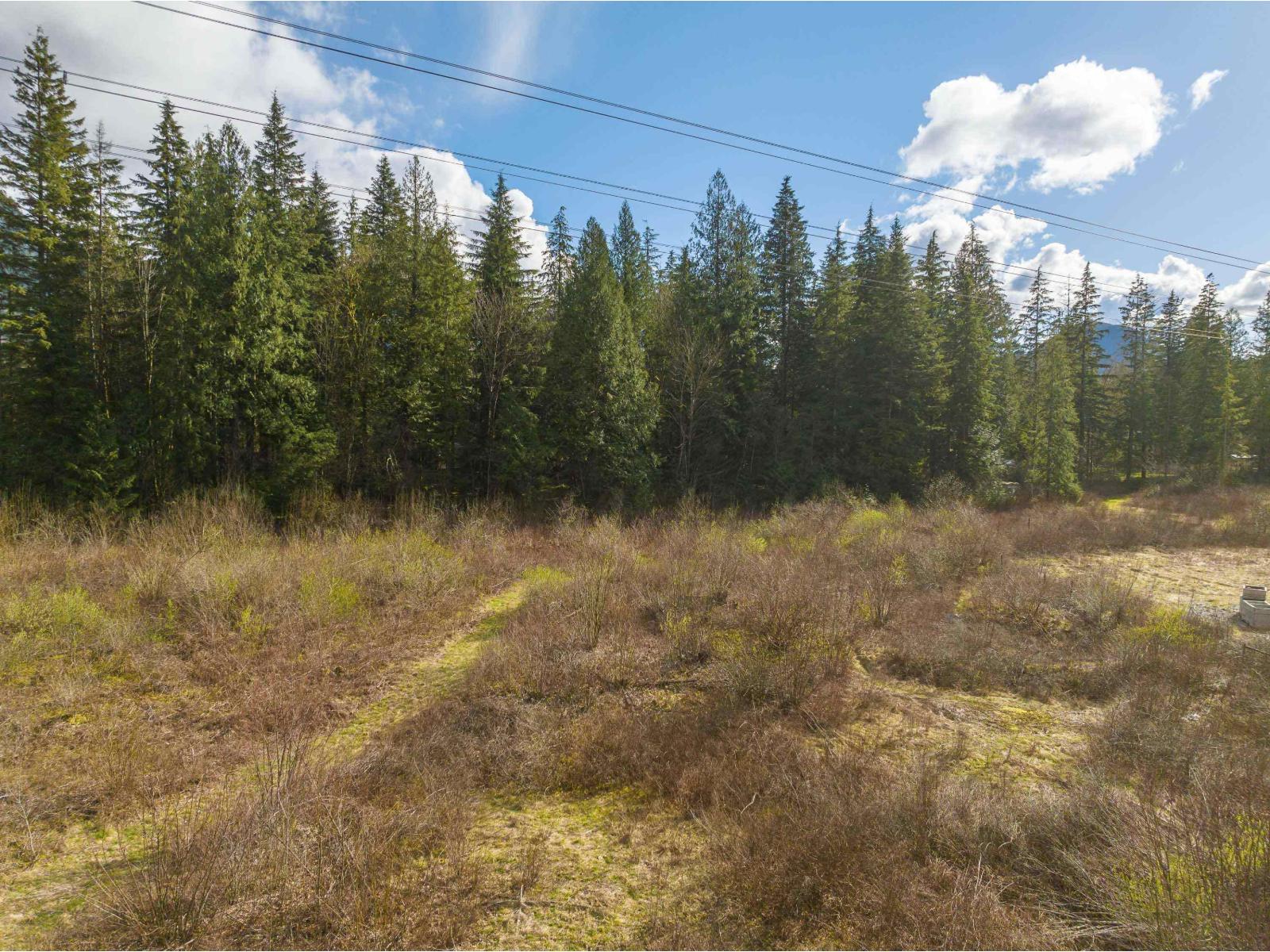 36161 Ridgeview Road, Mission, British Columbia V2V 0B9 - Photo 9 - R3078933