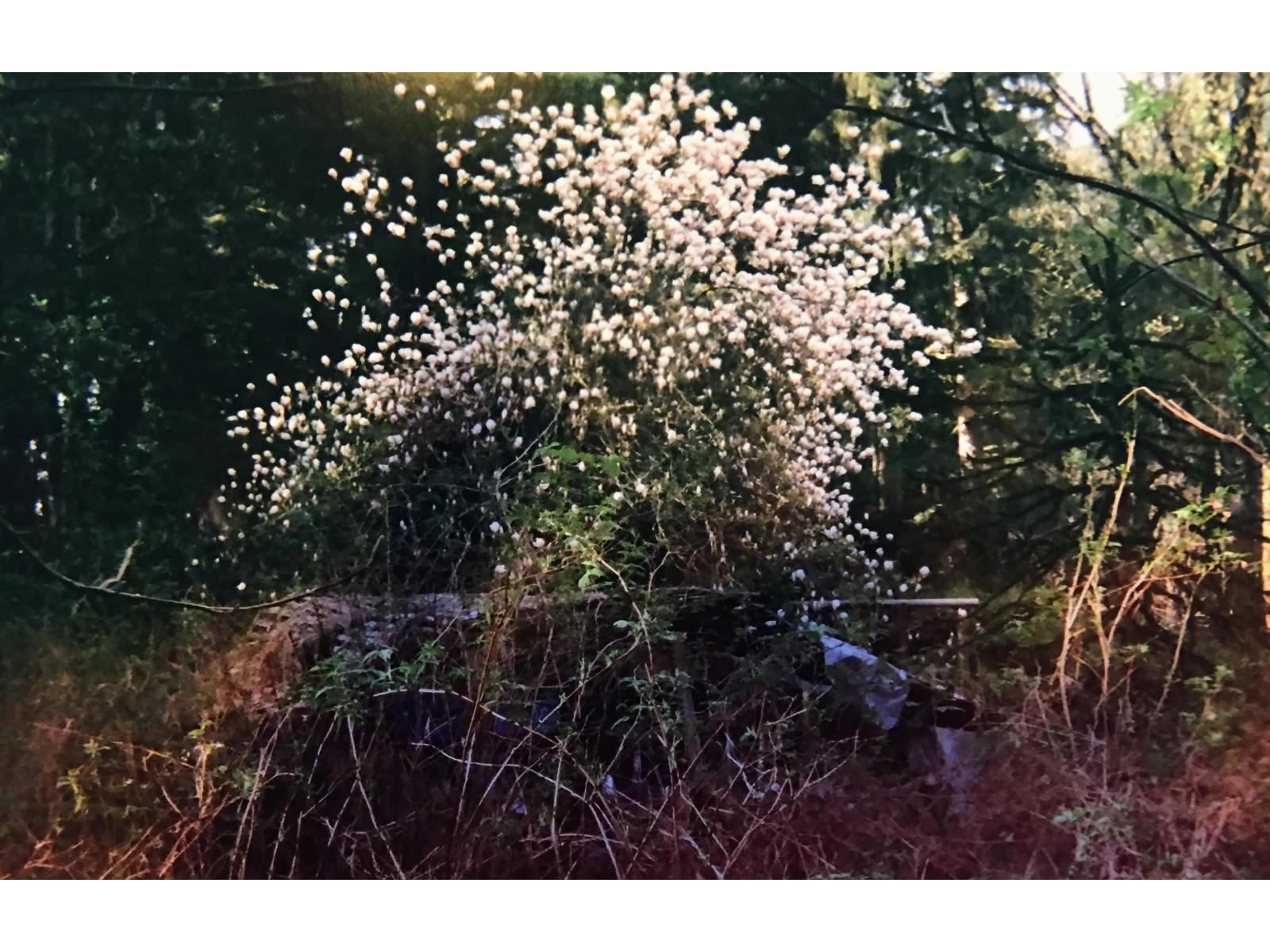 36161 Ridgeview Road, Mission, British Columbia V2V 0B9 - Photo 23 - R3078933