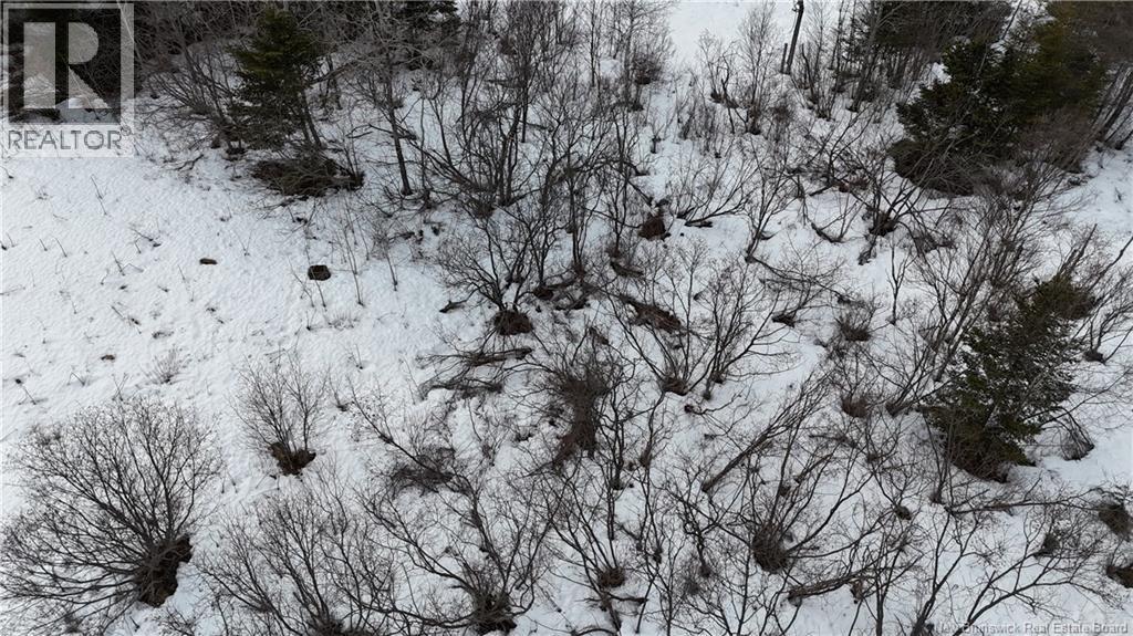 Goldsworthy Road, Black River, New Brunswick  E2J 4V1 - Photo 4 - NB134744