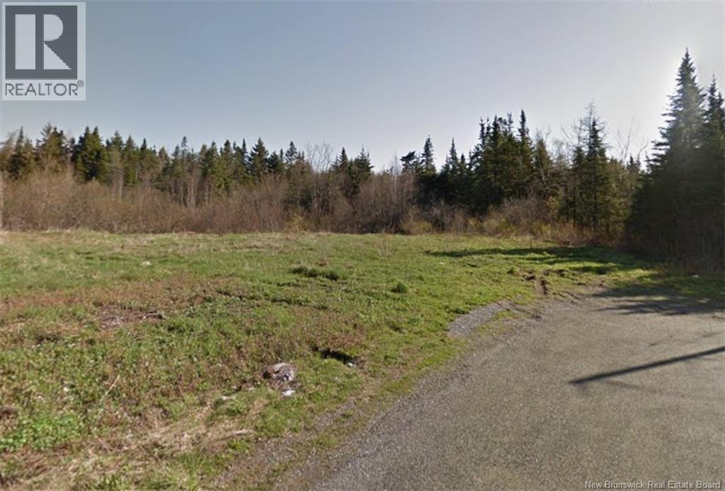 Goldsworthy Road, Black River, New Brunswick  E2J 4V1 - Photo 7 - NB134744