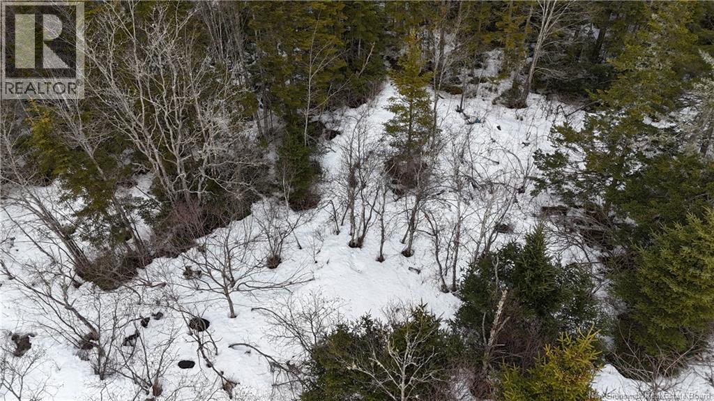 Goldsworthy Road, Black River, New Brunswick  E2J 4V1 - Photo 2 - NB134744