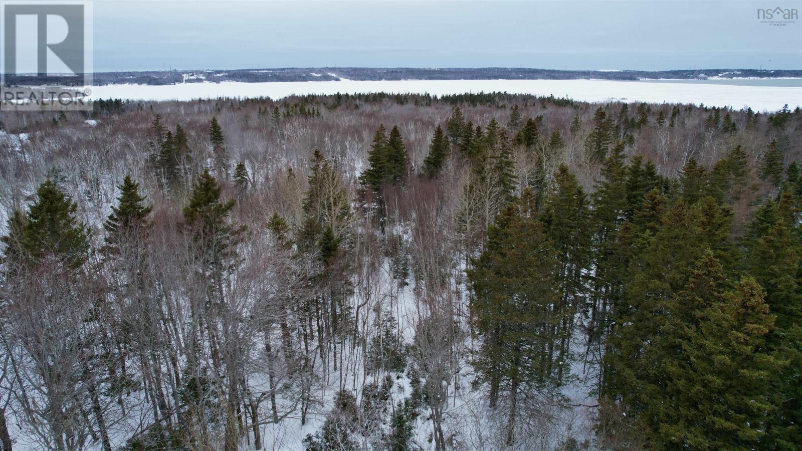 6221 Seaside Drive, Gardiner Mines, Nova Scotia  B1H 5K4 - Photo 38 - 202604000