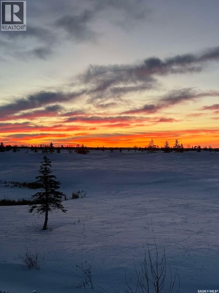 429 Palmer Crescent, Warman, Saskatchewan  S0K 4S1 - Photo 45 - SK029932