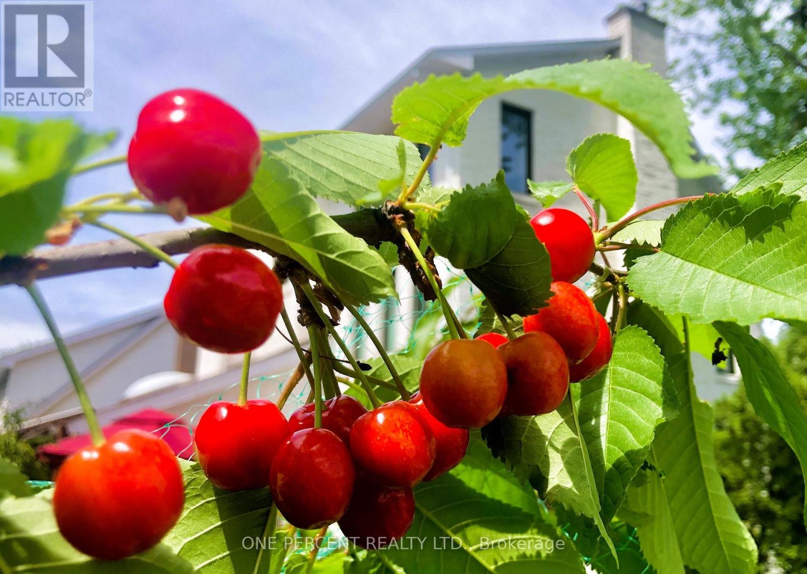 60 Pontiac Street, Ottawa, Ontario  K1Y 2K1 - Photo 28 - X12869500