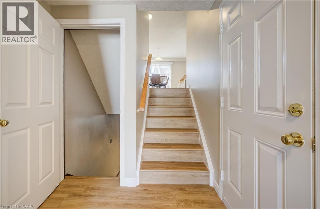 23 Madeleine Street, Kitchener, Ontario  N2R 1V5 - Photo 6 - 40809447