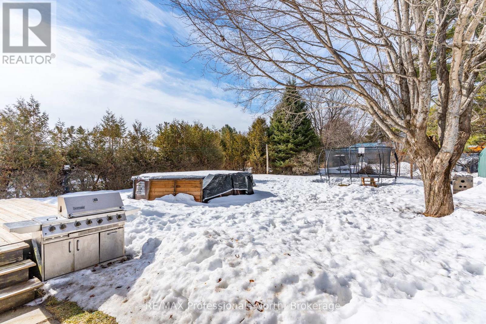 7 Winchester Street, Minden Hills, Ontario  K0M 1S0 - Photo 43 - X12869660