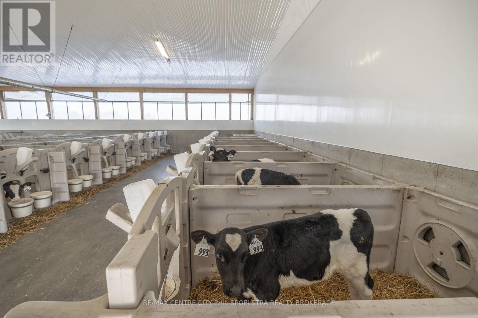 5029 Falconbridge Drive, Southwest Middlesex, Ontario  N0L 1A0 - Photo 20 - X12869670