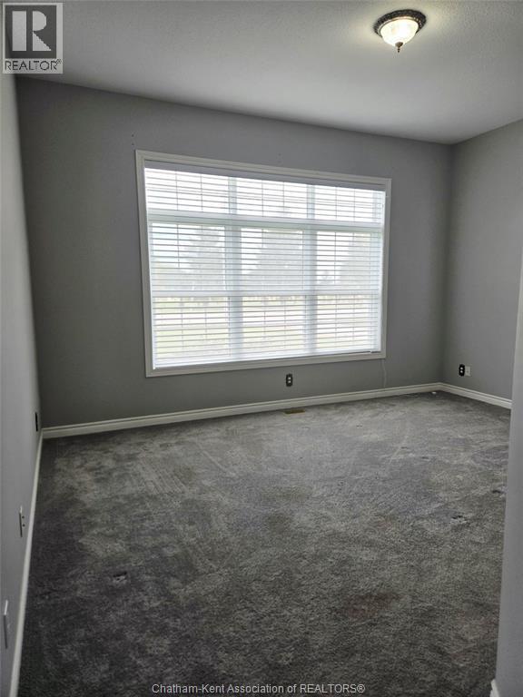 161 Aberdeen Street, Merlin, Ontario  N0P 1W0 - Photo 15 - 26005075