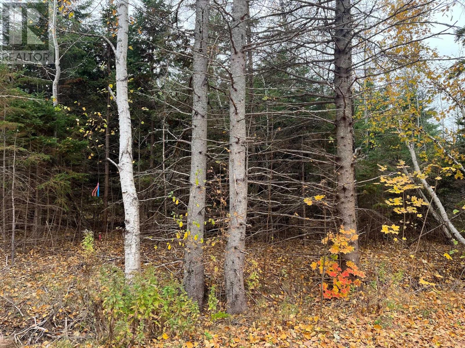 Lot 9 Birds Eye Drive, Rocky Point, Prince Edward Island  C0A 1H0 - Photo 7 - 202604307