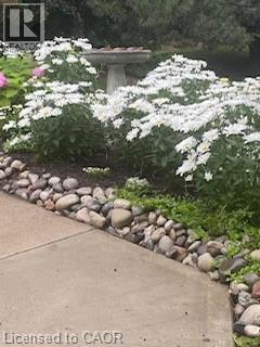 341 George Street N Unit# 4, Cambridge, Ontario  N1S 4X7 - Photo 39 - 40809978