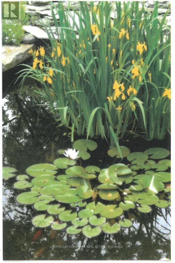 491 Chamberlain Street, Peterborough (Town Ward 3), Ontario  K9J 4L3 - Photo 35 - X12869726