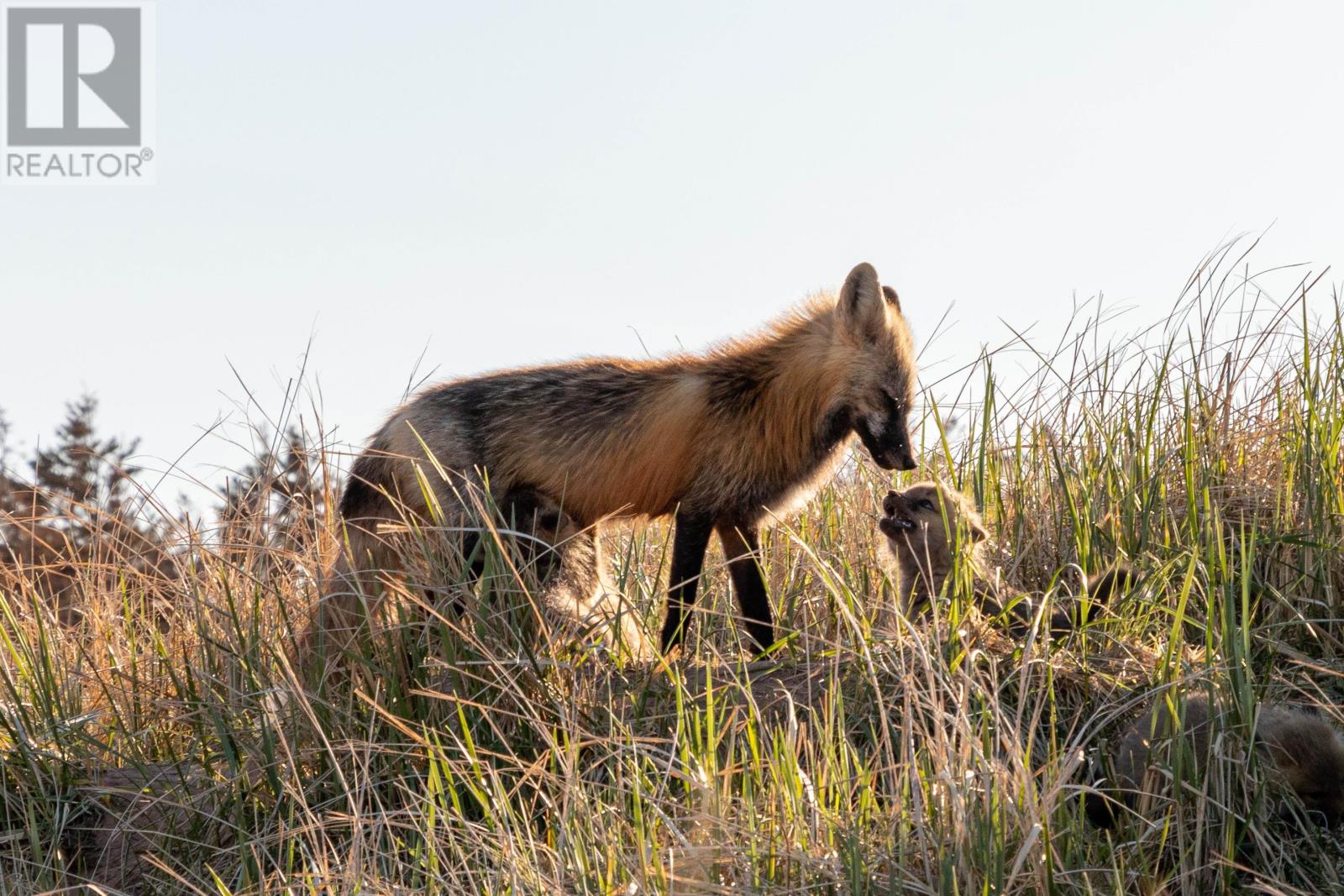 Lot 6 Monarch Way, Rustico, Prince Edward Island  C0A 1N0 - Photo 24 - 202604325