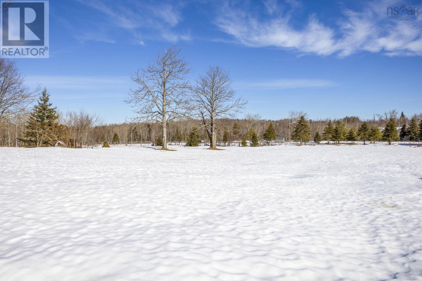 2172 North Street, Westville, Nova Scotia  B0K 2A0 - Photo 6 - 202604330