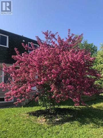 509 Dane Avenue, North Bay, Ontario  P1B 7G5 - Photo 38 - X12870332