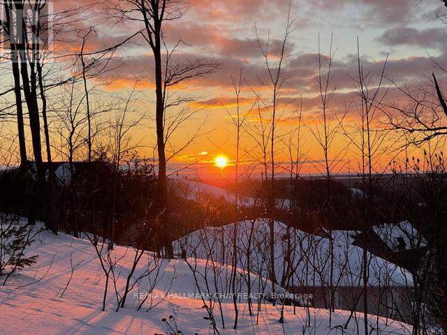 16 Highland Drive, Oro-Medonte (Horseshoe Valley), Ontario  L0L 2L0 - Photo 45 - S12870236