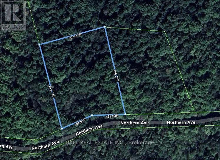 0 Northern Avenue, Trent Lakes, Ontario  K0M 1A0 - Photo 1 - X12415209