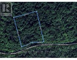 0 NORTHERN AVENUE, Trent Lakes, Ontario