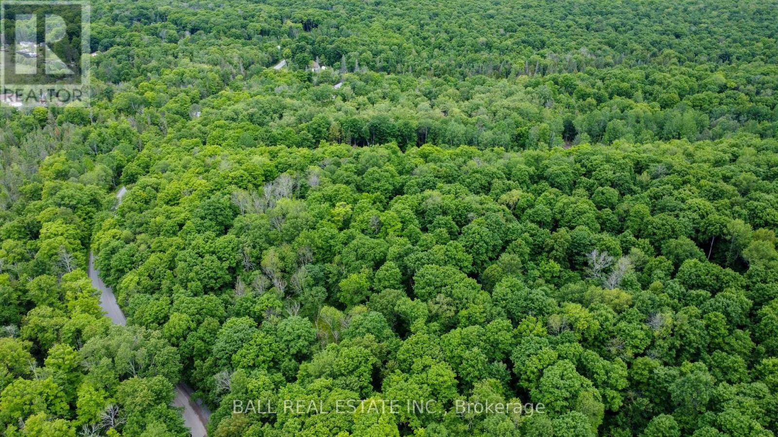 0 Northern Avenue, Trent Lakes, Ontario  K0M 1A0 - Photo 10 - X12415209