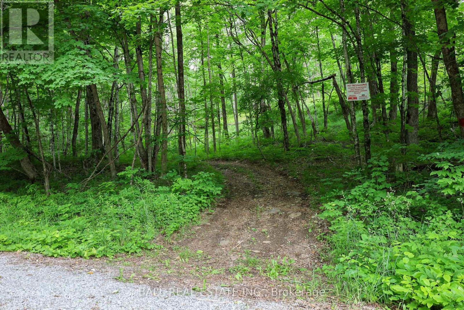 0 Northern Avenue, Trent Lakes, Ontario  K0M 1A0 - Photo 16 - X12415209