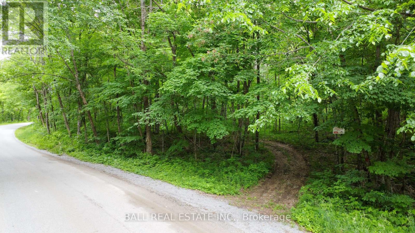 0 Northern Avenue, Trent Lakes, Ontario  K0M 1A0 - Photo 3 - X12415209