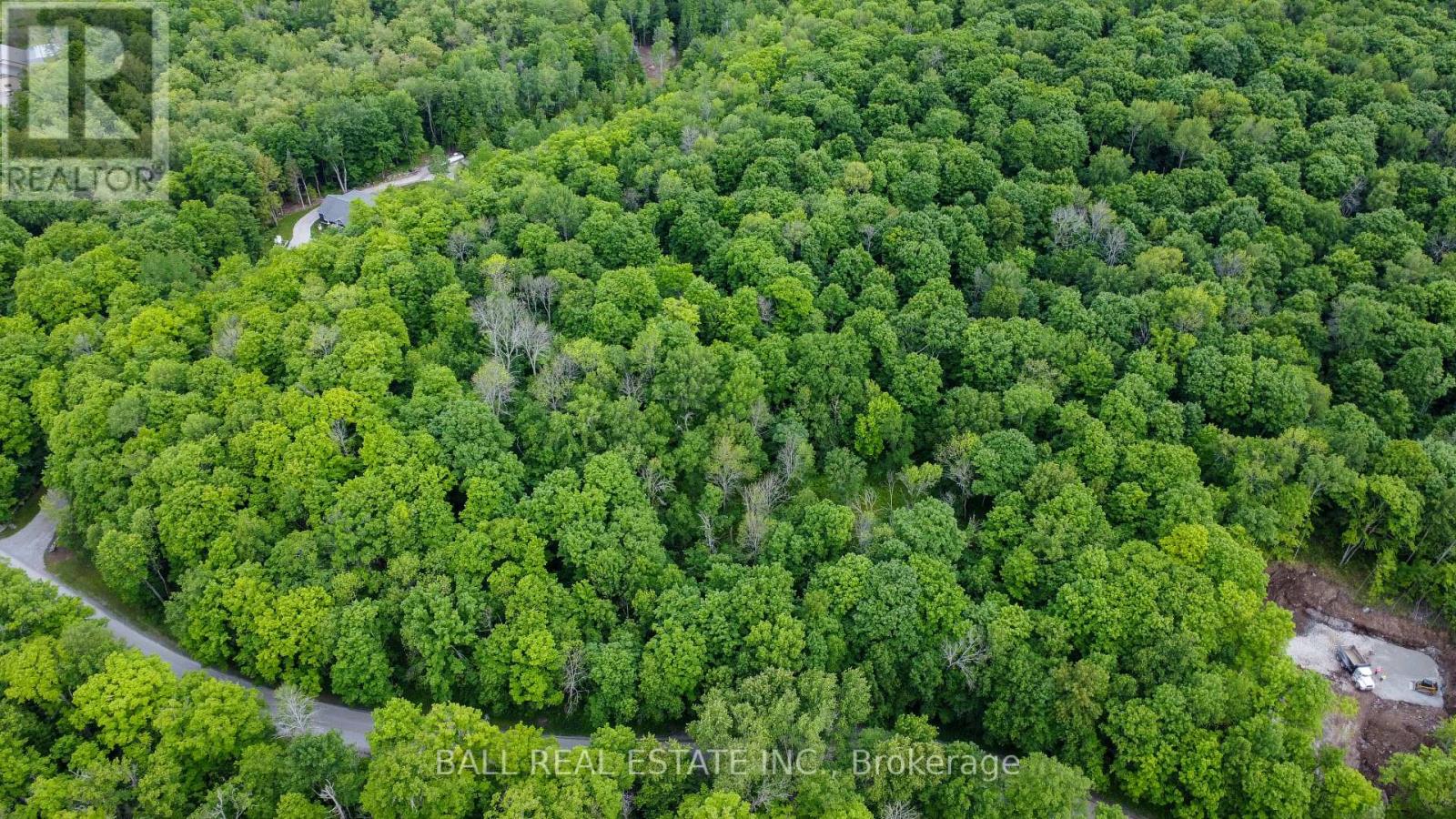 0 Northern Avenue, Trent Lakes, Ontario  K0M 1A0 - Photo 5 - X12415209