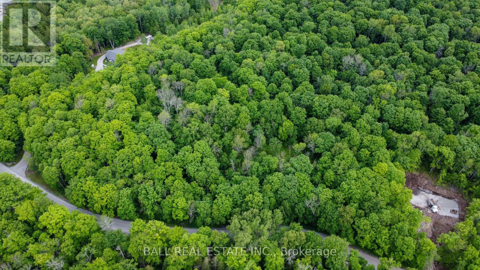 0 Northern Avenue, Trent Lakes, Ontario  K0M 1A0 - Photo 6 - X12415209