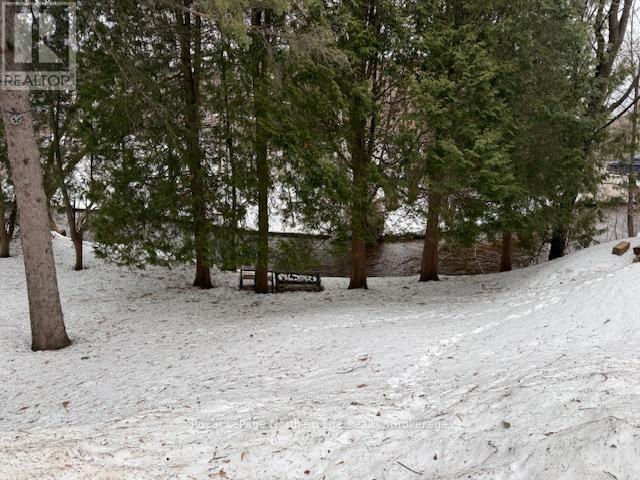 394 Chippewa Street W, North Bay, Ontario  P1B 6G6 - Photo 19 - X12870694