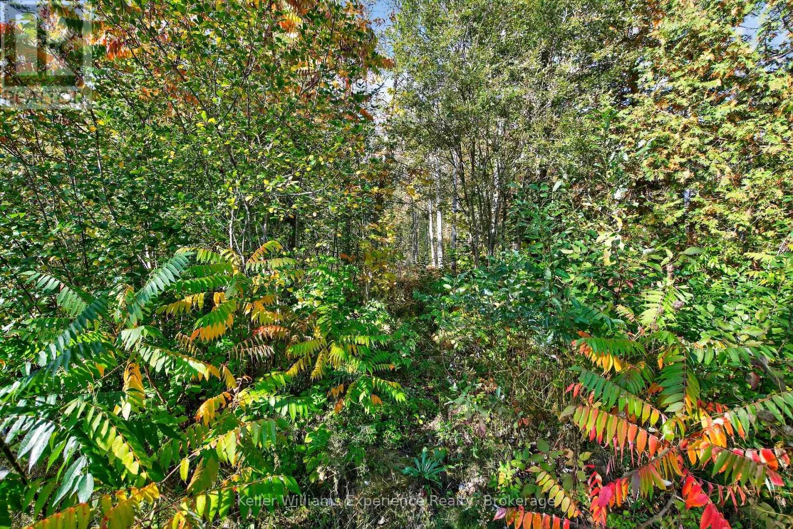 556 Champlain Road, Tiny, Ontario  L9M 0C2 - Photo 40 - S12870566