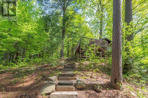 1023 Maiden Trail, Minden Hills, Ontario  K0M 2K0 - Photo 29 - X12870468