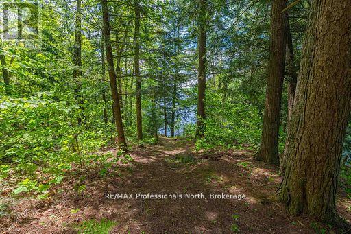 1023 Maiden Trail, Minden Hills, Ontario  K0M 2K0 - Photo 30 - X12870468