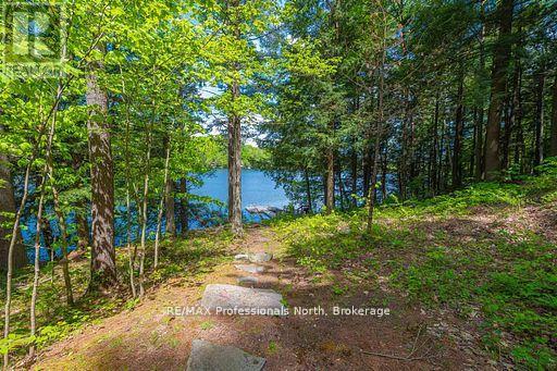 1023 Maiden Trail, Minden Hills, Ontario  K0M 2K0 - Photo 31 - X12870468