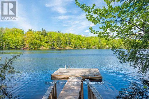 1023 Maiden Trail, Minden Hills, Ontario  K0M 2K0 - Photo 33 - X12870468