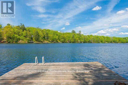 1023 Maiden Trail, Minden Hills, Ontario  K0M 2K0 - Photo 35 - X12870468