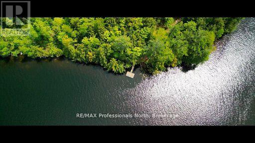 1023 Maiden Trail, Minden Hills, Ontario  K0M 2K0 - Photo 38 - X12870468