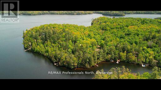 1023 Maiden Trail, Minden Hills, Ontario  K0M 2K0 - Photo 41 - X12870468