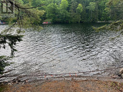 1023 Maiden Trail, Minden Hills, Ontario  K0M 2K0 - Photo 44 - X12870468