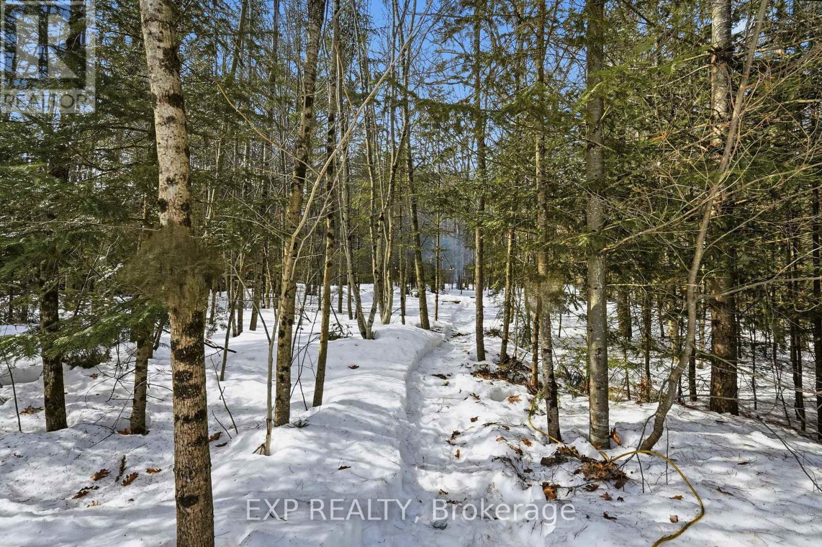 2516 Irish Line, Severn, Ontario  L0K 1E0 - Photo 44 - S12870660