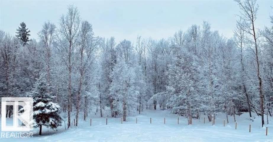 53508 Rge Road 35, Rural Lac Ste. Anne County, Alberta  T0E 1N0 - Photo 11 - E4476848