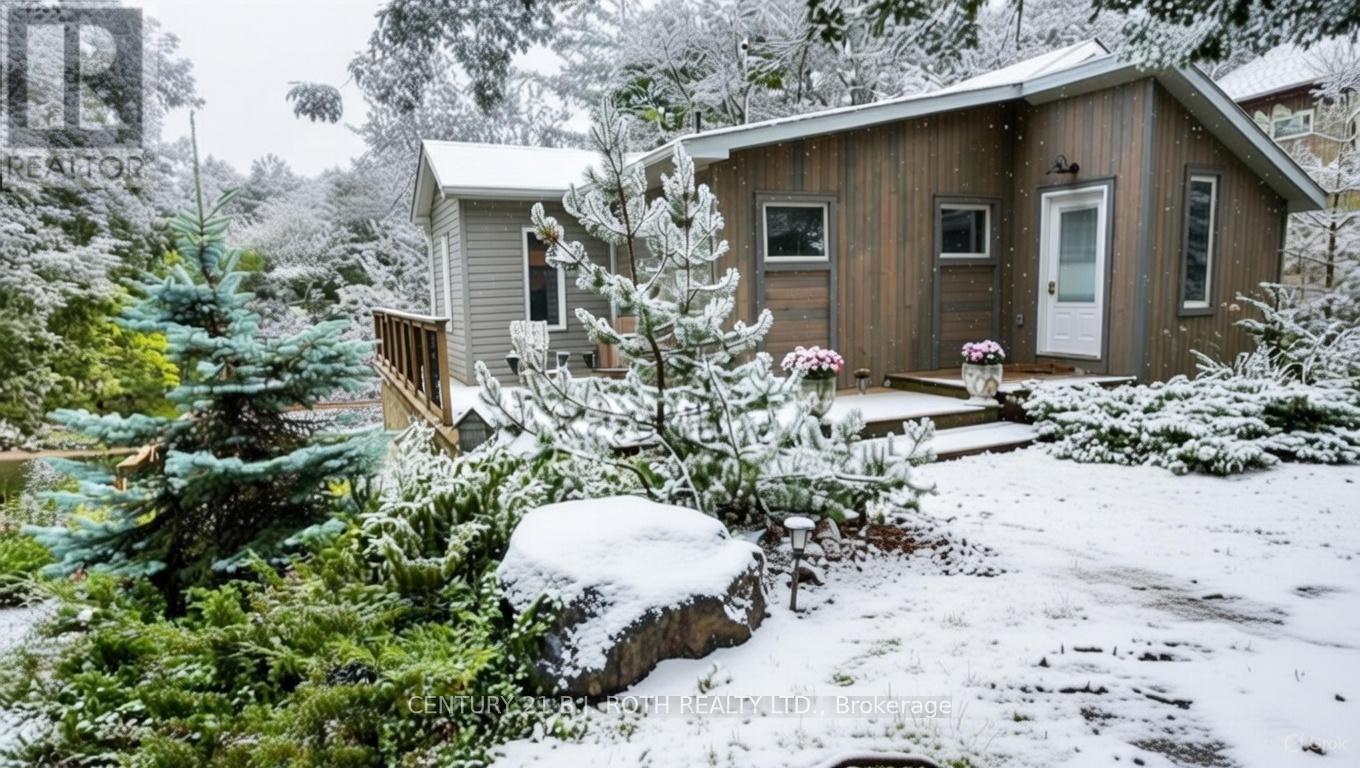 8101 Kings River Road, Ramara, Ontario  L0K 2B0 - Photo 2 - S12677860