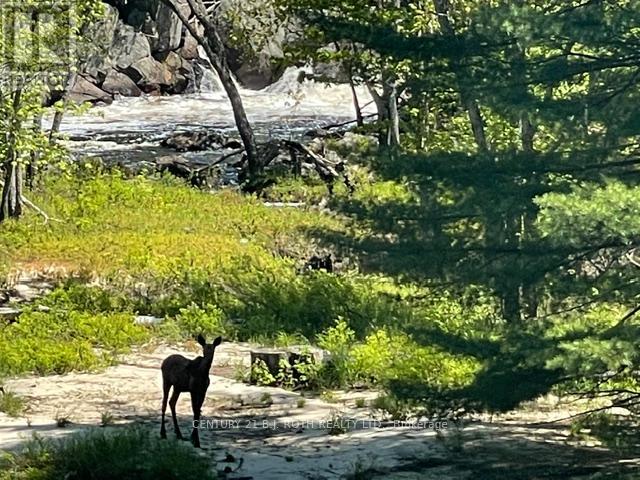 8101 Kings River Road, Ramara, Ontario  L0K 2B0 - Photo 44 - S12677860