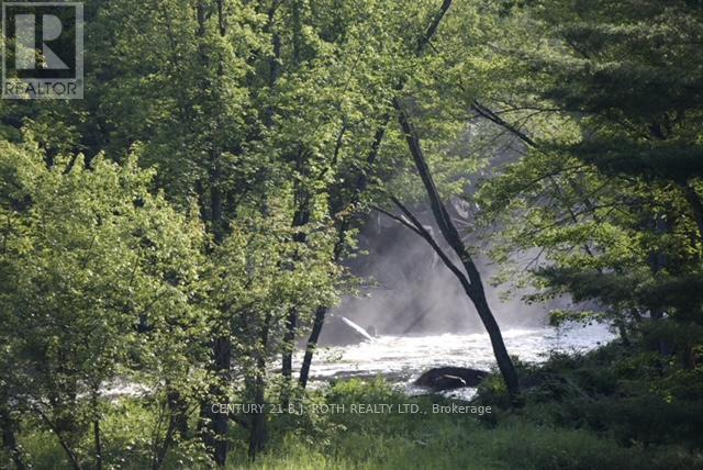 8101 Kings River Road, Ramara, Ontario  L0K 2B0 - Photo 45 - S12677860