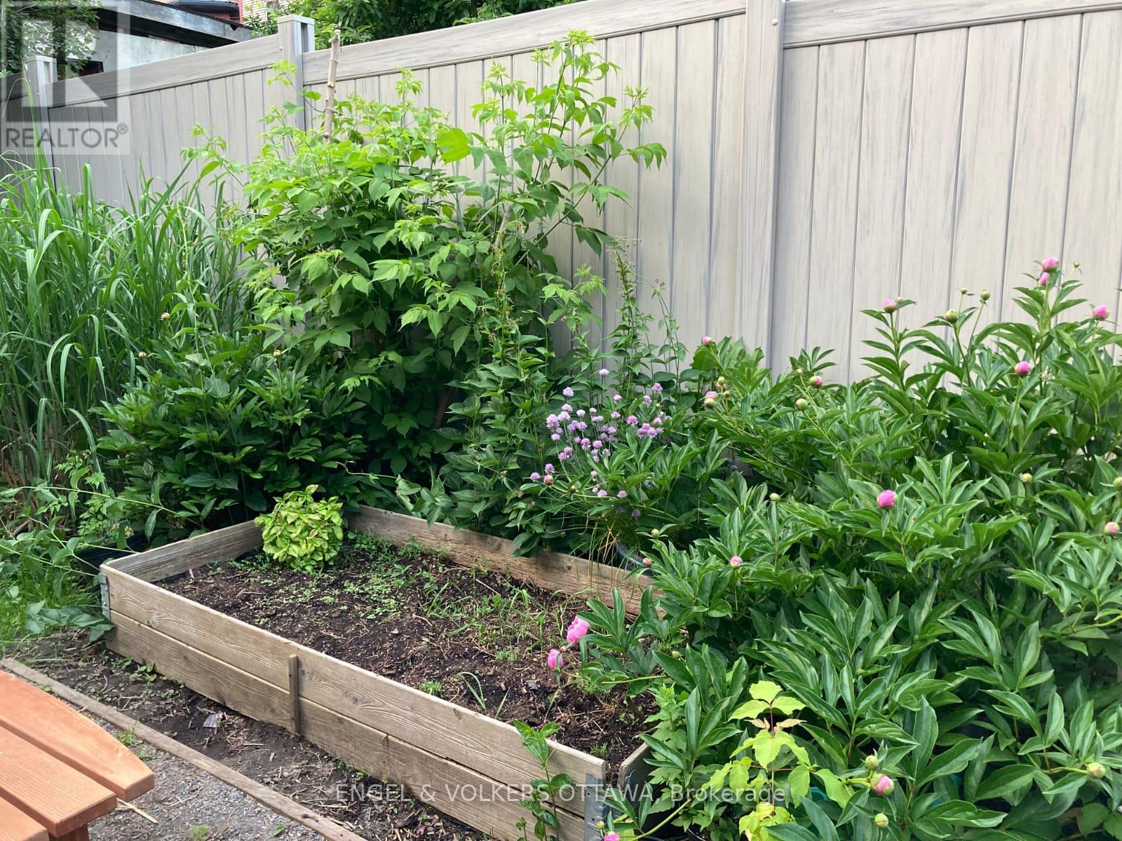 321 James Street, Ottawa, Ontario  K1R 5M8 - Photo 30 - X12870436